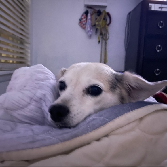 Meet your Posh Ambassador, Cristina - Picture 9 of 10